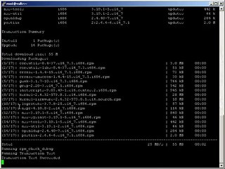 centos 6 - install vnc & minimal GUI