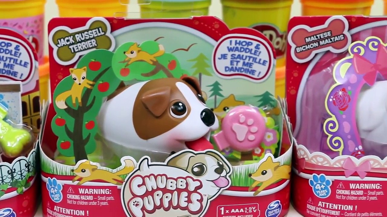 Chubby Valper Orbeez Rase Søt Valp Dog Race I Orbeez!