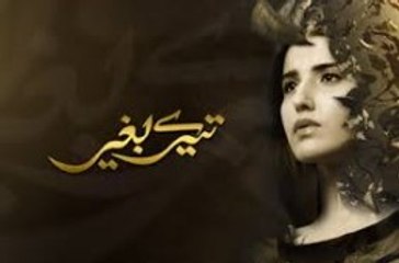 Tere Baghair Episode 13 HD HUM TV Drama 14 Jan 2015