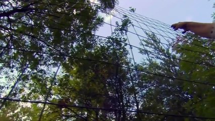 || The Private Life of Deer - | #Full #HD #Documentary Nature