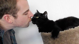 Does YOUR Cat Like Kisses?