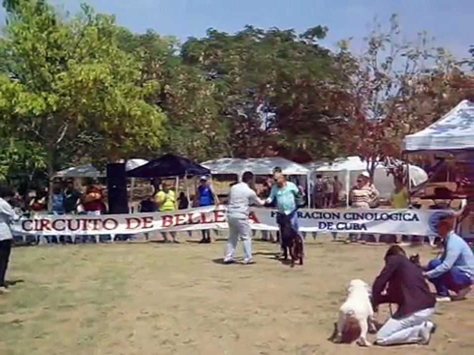 EVENTO CANINO EN CUBA