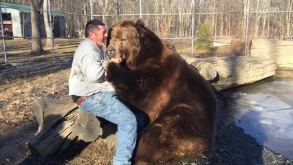 Man gives a literal bear hug to 1500 pound bear