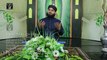 Ab Karam Ya Mustafa Full HD Video Naat [2016] Anas Rabi Qadri - Naat Online