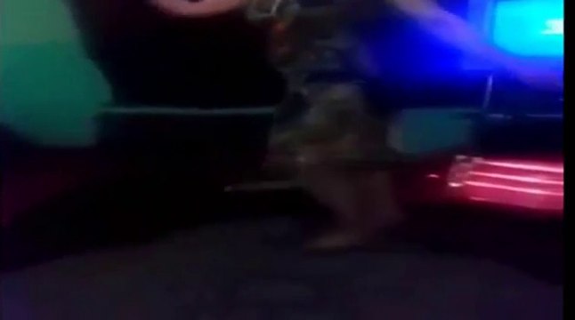 رقص شرقي منازل دلع بنات كيك اجمل رقص منزلي Rak