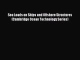 [PDF Download] Sea Loads on Ships and Offshore Structures (Cambridge Ocean Technology Series)