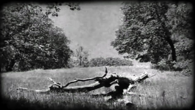 Alive DINOSAUR caught on Film _ Leaked Top Secret KBG Footage _ 1945