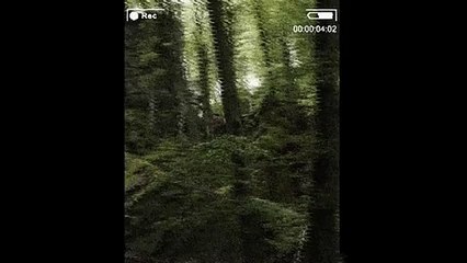 Bigfoot caught on Tape (8_15_2015) Evidence of Big Foot Captured on Video