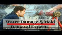 Water damage Restoration Philadelphia Also Mold Removal |  Call us 551-227-3001