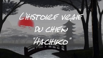 La légende d'Hachikô ( Hatchi ),  le chien qui a attendu son maître décédé pendant près de 10 ans