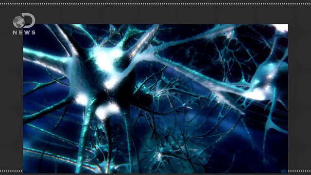 How The Blood-Brain Barrier Protects You From Death #AskDNews