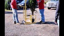 Cut Your Own Tree Location Near Doylestown Pa