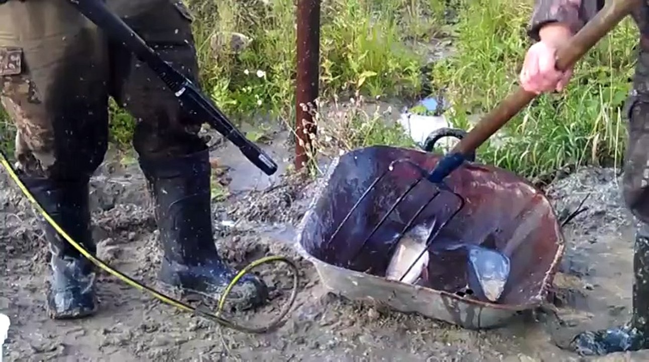 New way to clean a pike