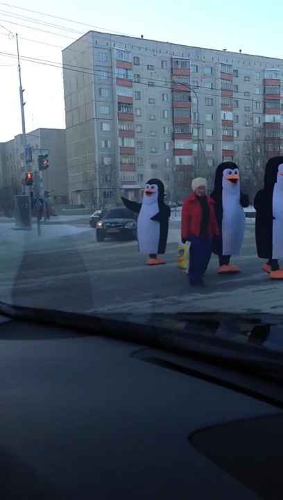 Funny pinguins