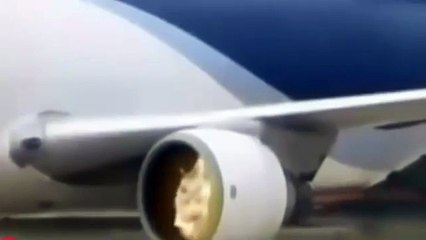 Ucak Motoru Erken Calst Teknisyeni Dograd-Once run was swallowing Aircraft Engine Techn. early