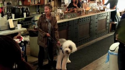 Telekinetic Coffee Shop Surprise