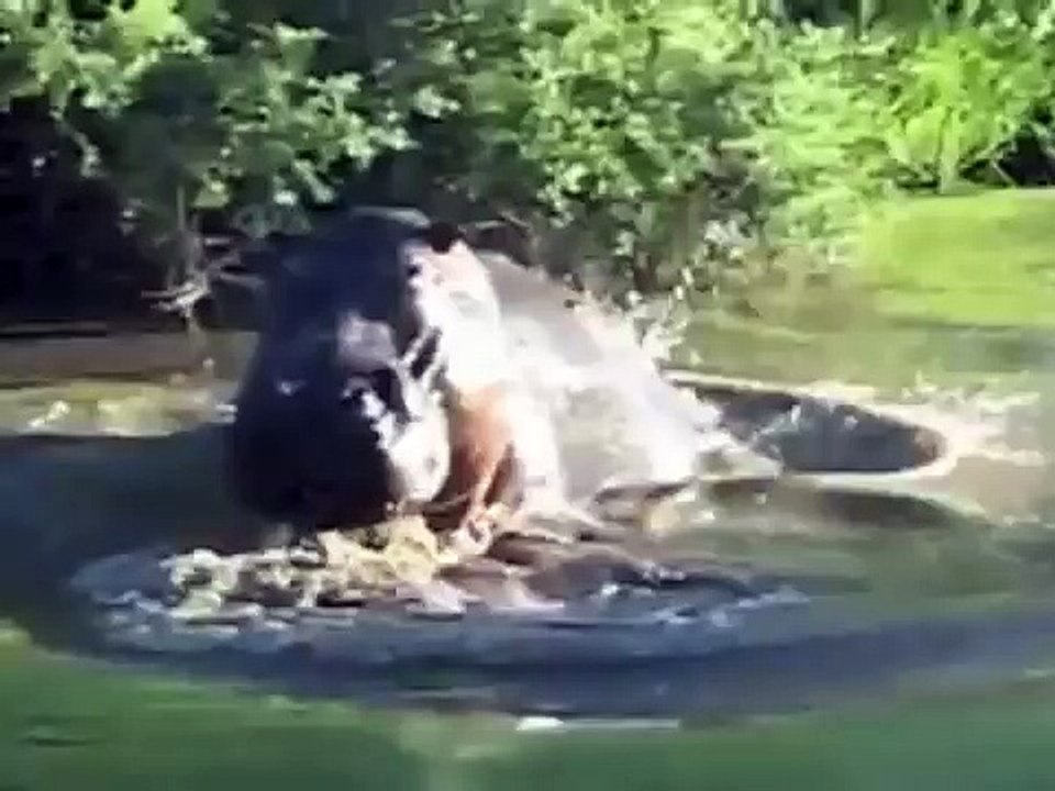 MAN AND BEAST - Part 2
