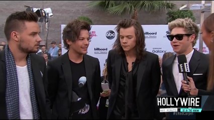 UPDATE: Is One Direction Permanently Breaking Up?!