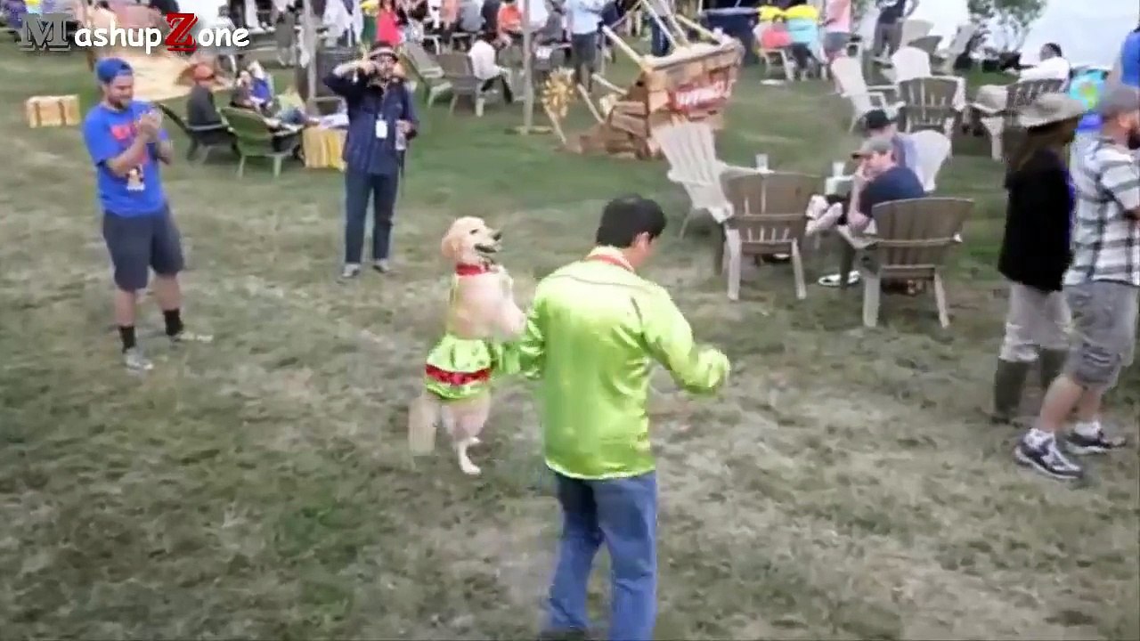 Funny Animals Behaving Like Humans Videos Compilation 2015_ By Toba.tv