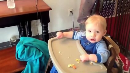 Animals Are Mean Sometimes 2_ By Toba.tv