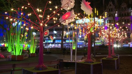 The bright minds behind the Lumiere Festival