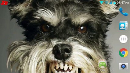 Quick TuneUp calibrar sensores, pantalla, batería Android