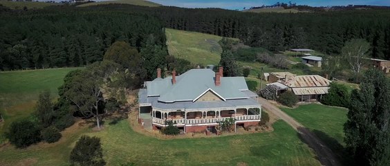 The Pack (2016) Trailer - Anna Lise Phillips, Jack Campbell (Movie HD)