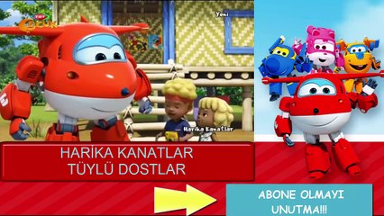Harika Kanatlar Tüylü Dostlar