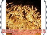 Lychee 4M x 4M 512LED Waterproof Curtain Operated Fairy String Light With 8 Modes for Outdoor
