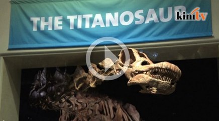 Rangka dinasaur paling besar dipamer