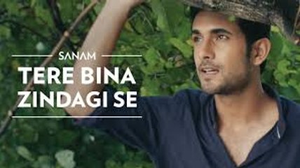 Tere Bina Zindagi Se -   Sanam  2016