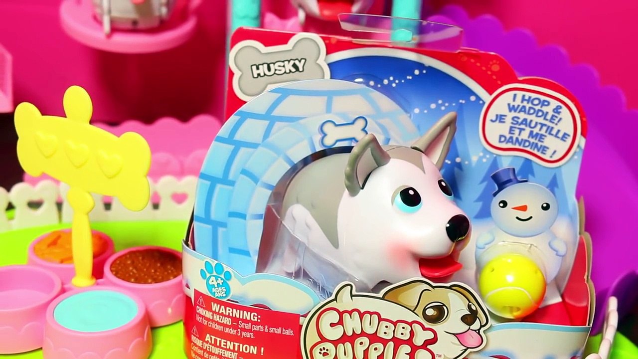 CHUBBY PUPPIES DOG RACE Giant Fun Toys Chubby Puppies Walking Dog Park