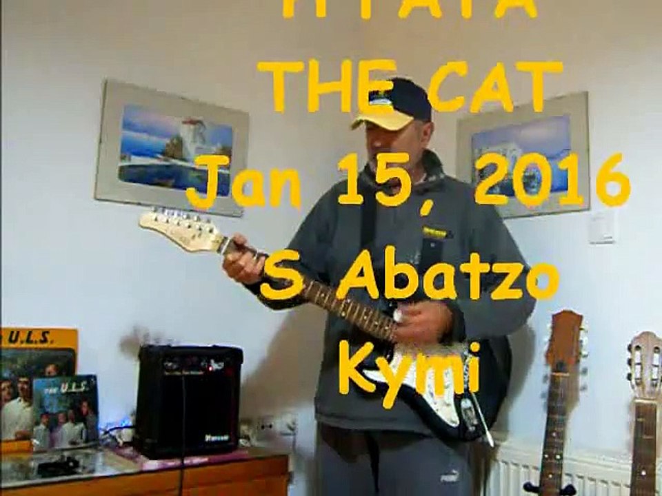 THE CAT_dh