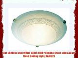 Dar Damask Opal White Glass with Polished Brass Clips 30cm Flush Ceiling Light DAM522