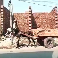 واہ واہ واہ خان صاحب کا hydraulic کھوتا چیک کرو