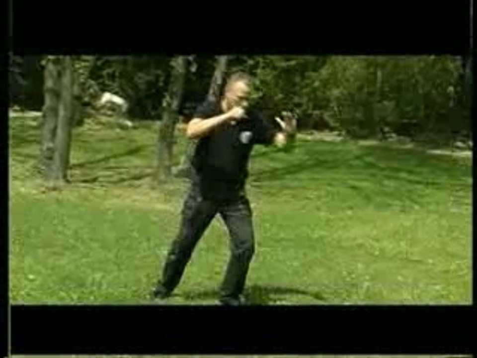 Bâton téléscopique - Telescopic stick