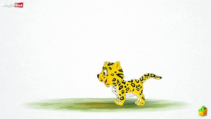 Cheetah (சிறுத்தை புலி) - Animals (விலங்குகள்)