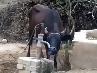 God help those who help themselves