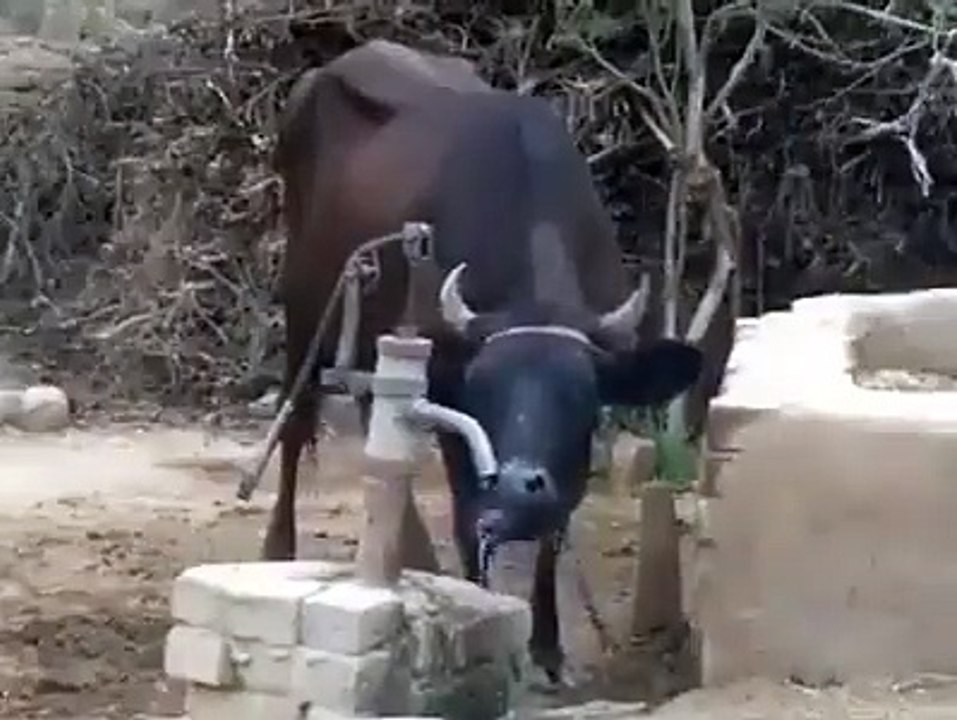 God help those who help themselves