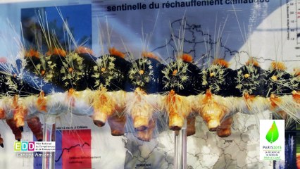 Jean Rousselet, chercheur à l'Inra