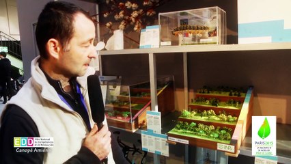Frédéric Jean, Unité Expérimentale Entomologie Et Forêt Méditerranéenne INRA