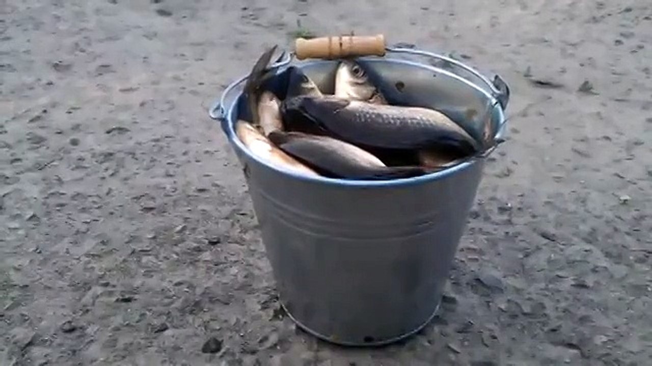 Собственным глазам не поверишь )))