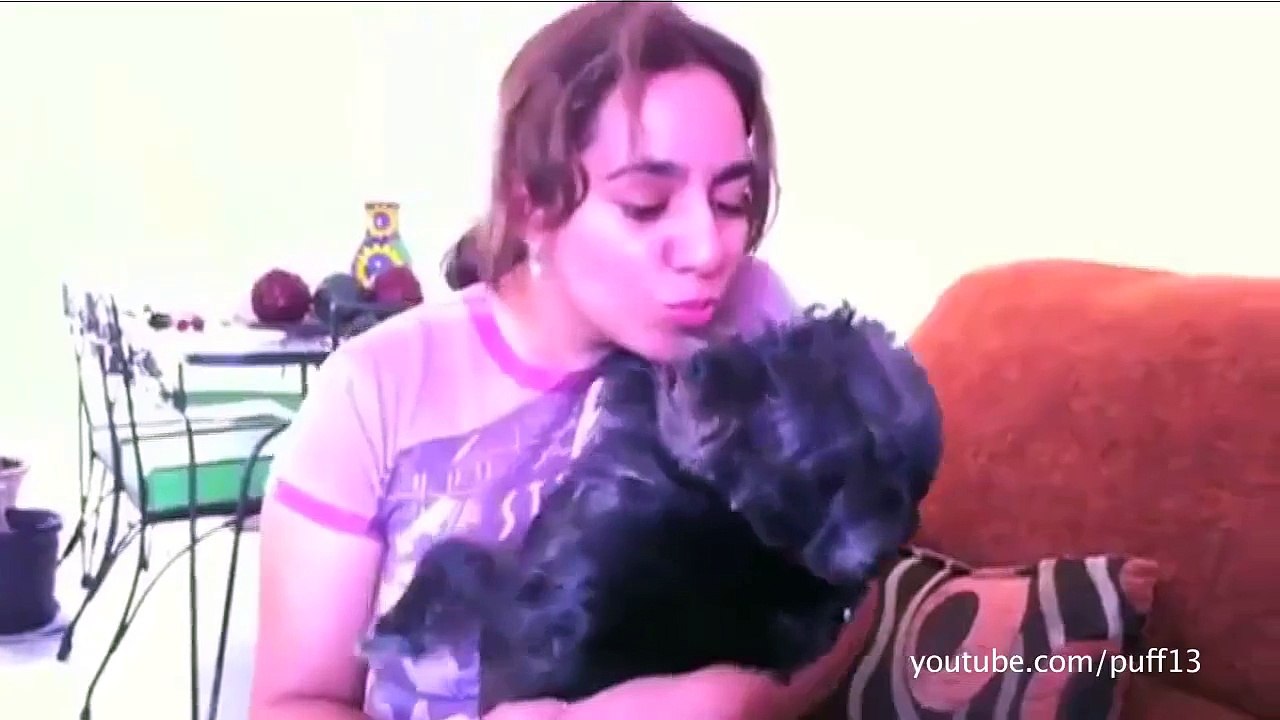 Des animaux qui détestent les bisous - Compilation de chiens et chats