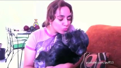 Pets just hate kisses - Hilarious animal compilation