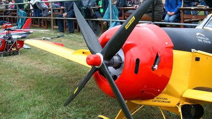 GIANT RC PZL 106 A KRUK / Model sports meeting Bölsdorf Germany 2016 *1080p50fpsHD*