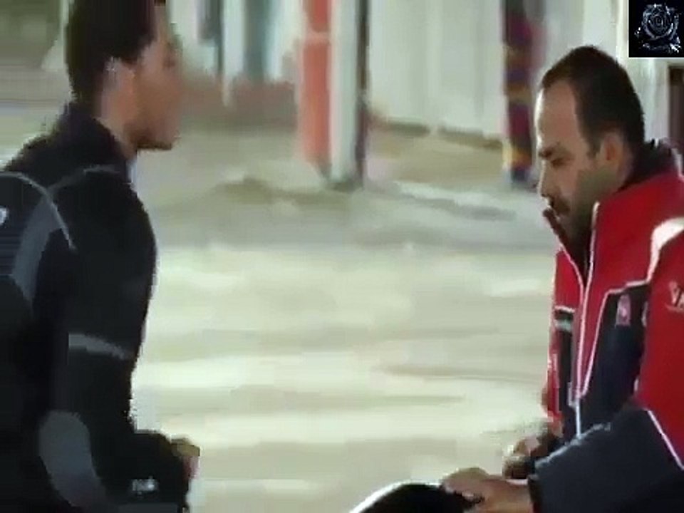 dailymotion black rose