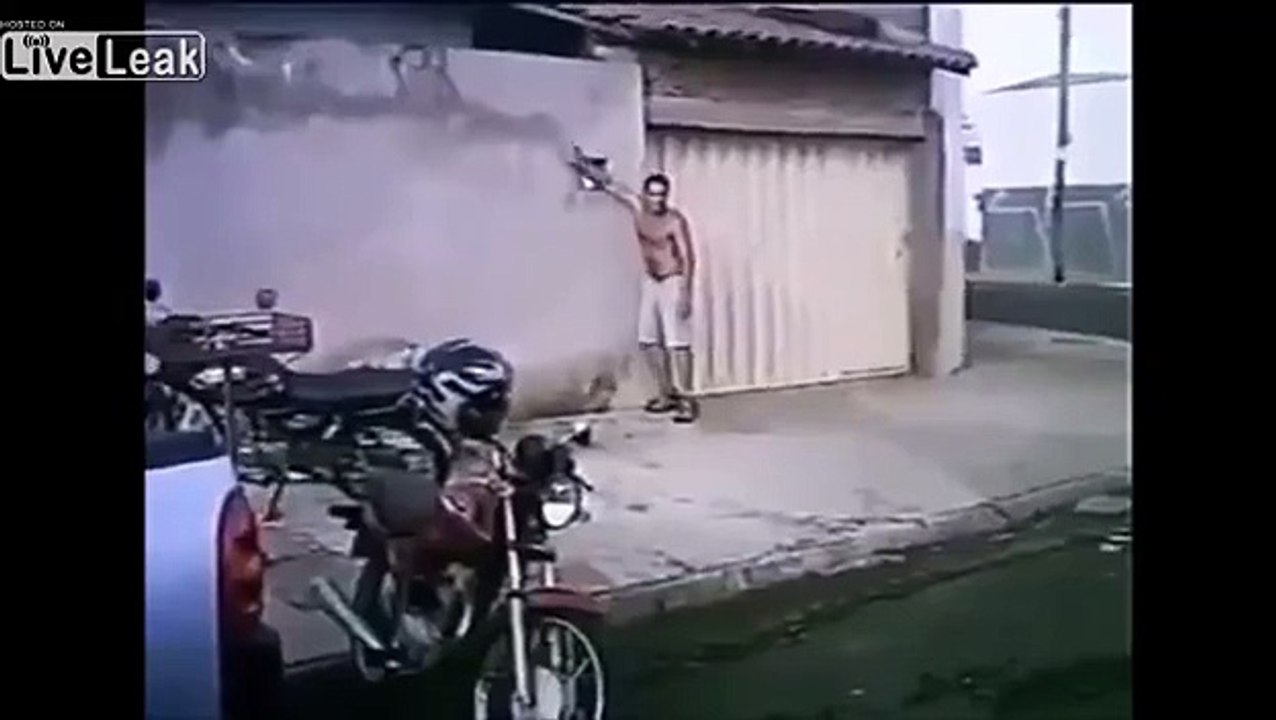 LiveLeak - Pitbull gets tire off the roof