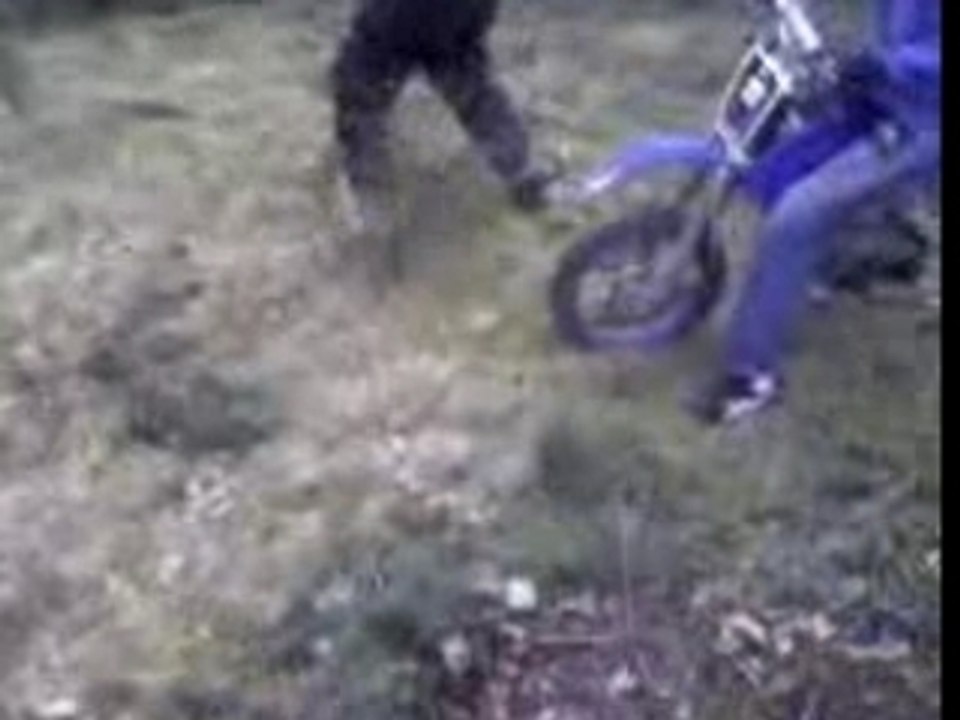 Raptor350