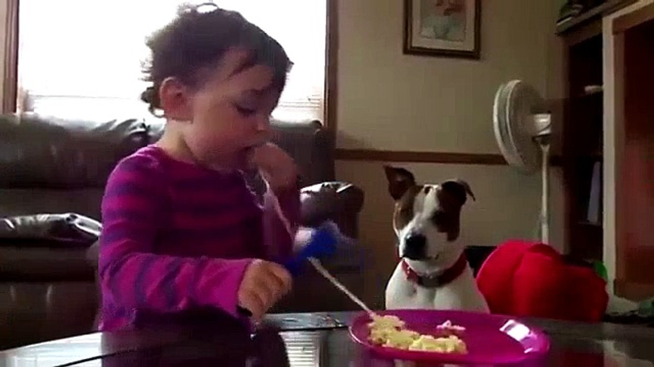 Funny animals and baby ^--^