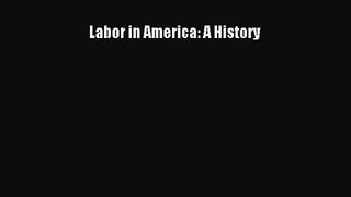 [PDF Download] Labor in America: A History [PDF] Full Ebook